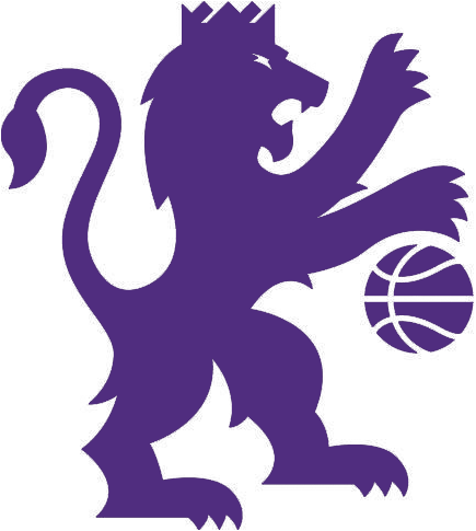 Sacramento Kings 2016-Pres Alternate Logo fabric transfer version 4
